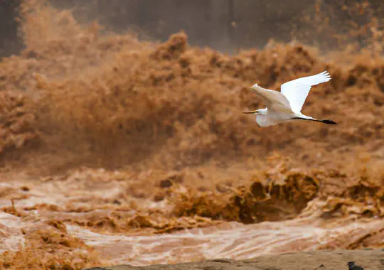 Diagnóstico do rio Doce após o rompimento da barragem de Fundão