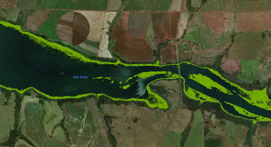 Modelagem hidrodinâmica de macrófitas em reservatório hidrelétrico