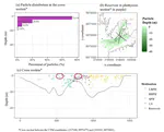 Characterization of woody material transport on the Madeira River at the Jirau Hydroelectric Power Plant: a study using a three-dimensional particle model